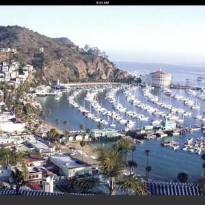 Meet your Posher, Gary